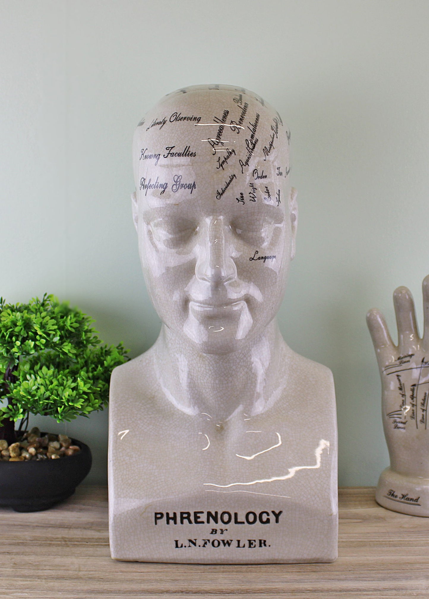 Large Ceramic Phrenology Head 42cm