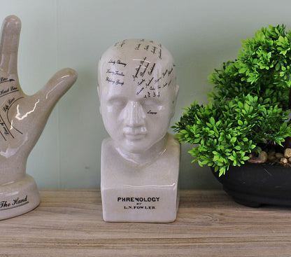 Small Ceramic Phrenology Head 19cm