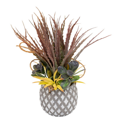 Succulents in Large Lattice Design Grey Pot