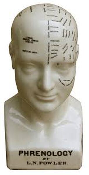 Medium Ceramic Phrenology Head  25cm