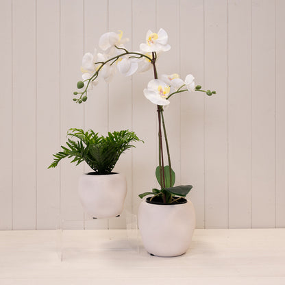 White Textured Stone Plant Pot