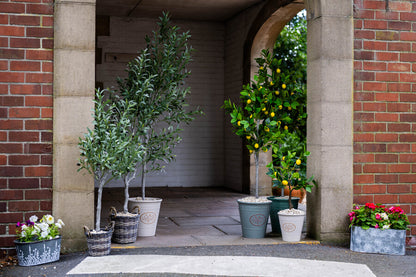 Artificial Olive Tree